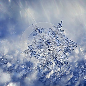 Snowflake Crystal Fantasy