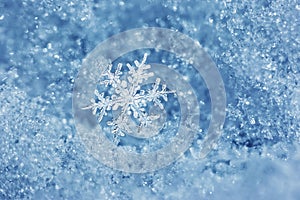 Snowflake Fairytale photo