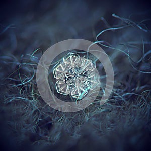 Real snowflake glittering on smooth gradient background