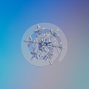 Snowflake glittering on light blue background