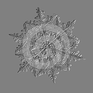 Snowflake isolated on uniform gray background