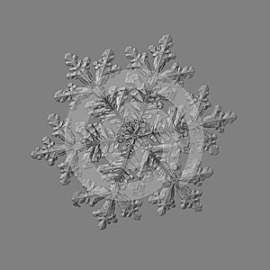 Snowflake isolated on uniform gray background