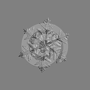 Snowflake isolated on uniform gray background