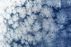 Snowflake. Macro photo of real snow crystal