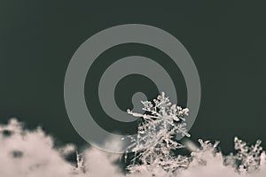 Snowflake. Macro photo of real snow crystal. Beautiful winter background seasonal nature and the weather in winter.