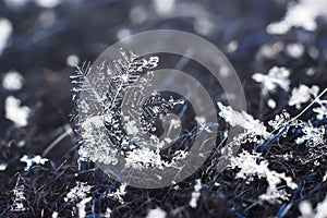 Snowflake natural macro closeup shot