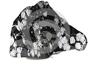 Snowflake obsidian