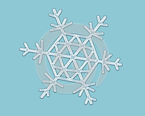 Snowflake photo