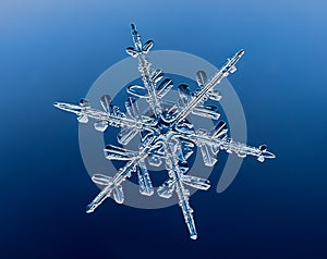 Snowflake on smooth gradient background. Macro photo of real snow crystal on glass surface. This is small snowflake with