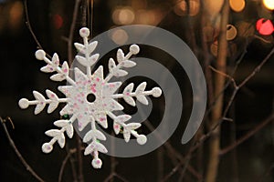 Snowflake and twigs in window