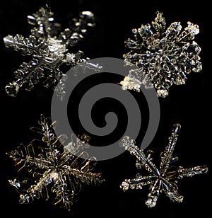 Snowflake under a microscope