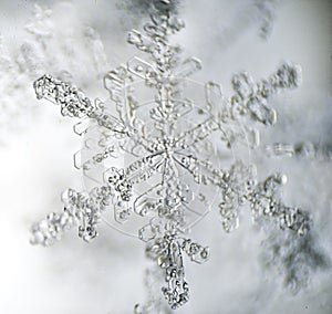 Snowflake under microscope.