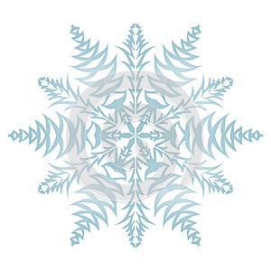 Snowflake on a white background.