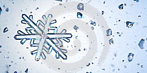 Snowflakes Blue Ice Crystal Winter Symbol