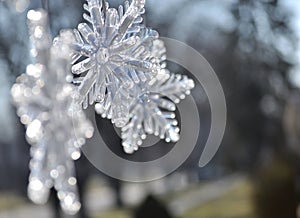 Snowflakes; Close up of Christmas decoration.