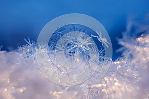 Snowflakes close-up. Macro photo.