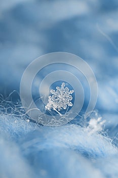 Snowflakes close-up. Macro photo.