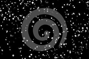 Snowflakes falling down on black background, heavy snow flakes isolated