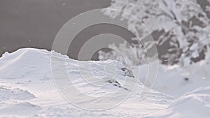 Snowflakes fly over surface of earth from the wind