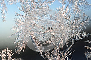 Snowflakes frost rime macro on window glass pane