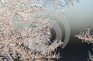 Snowflakes frost rime macro on window glass pane