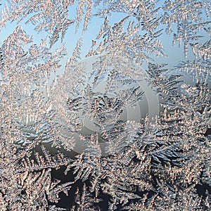 Snowflakes frost rime macro on window glass pane