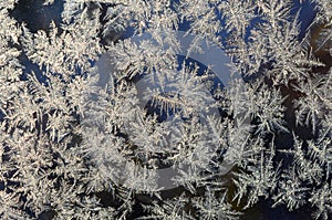 Snowflakes frost rime macro on window glass pane