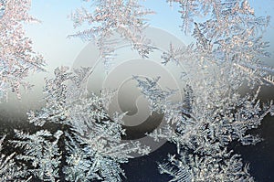 Snowflakes frost rime macro on window glass pane