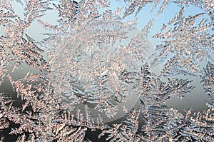 Snowflakes frost rime macro on window glass pane