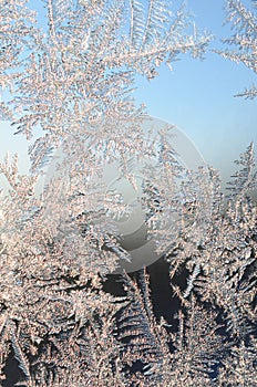 Snowflakes frost rime macro on window glass pane