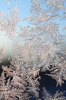 Snowflakes frost rime macro on window glass pane