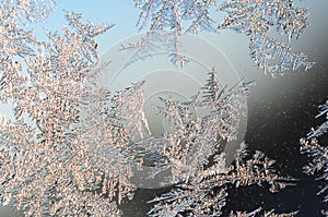 Snowflakes frost rime macro on window glass pane