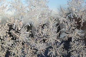 Snowflakes frost rime macro on window glass pane