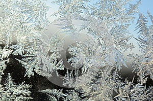 Snowflakes frost rime macro on window glass pane