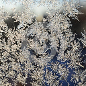 Snowflakes frost rime macro on window glass pane