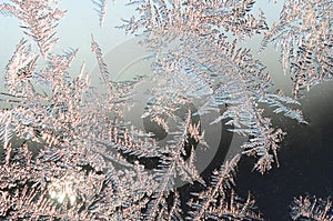 Snowflakes frost rime macro on window glass pane