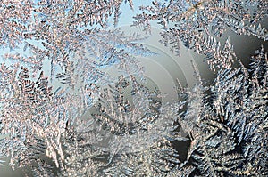 Snowflakes frost rime macro on window glass pane