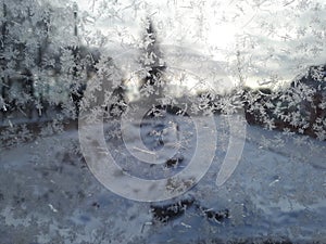 Snowflakes on the glass