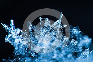 Snowflakes magnified, studio shot.