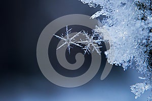 Snowflakes. photo. Macro nature photo