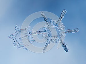 Snowflakes on smooth gradient background. Macro photo of real snow crystal on glass surface. This is small snowflake