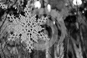 Snowflakes and twigs