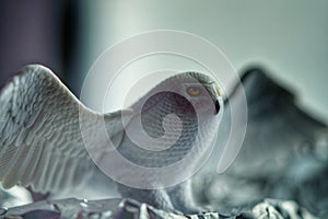 Snowie Owl  - 3D plastic model