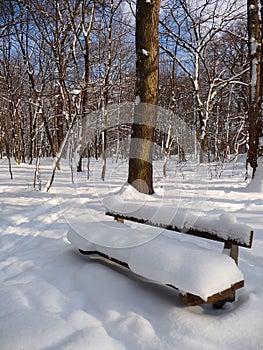 A snowily bench