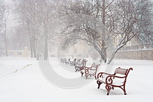 Snowing photo