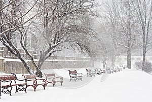 Está nevando 