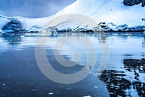 Snowing Blue Glacier Snow Mountains Paradise Bay Skintorp Cove Antarctica