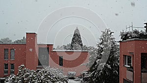 Snowing at the end of April in the Swiss village of Urdorf in a courtyard with coniferous trees