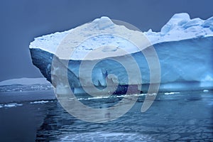 Snowing Floating Blue Iceberg Reflection Paradise Bay Skintorp Cove Antarctica