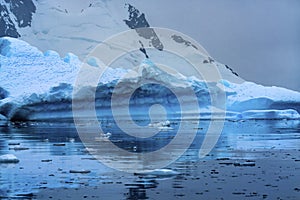 Snowing Floating Blue Iceberg Reflection Paradise Bay Skintorp Cove Antarctica